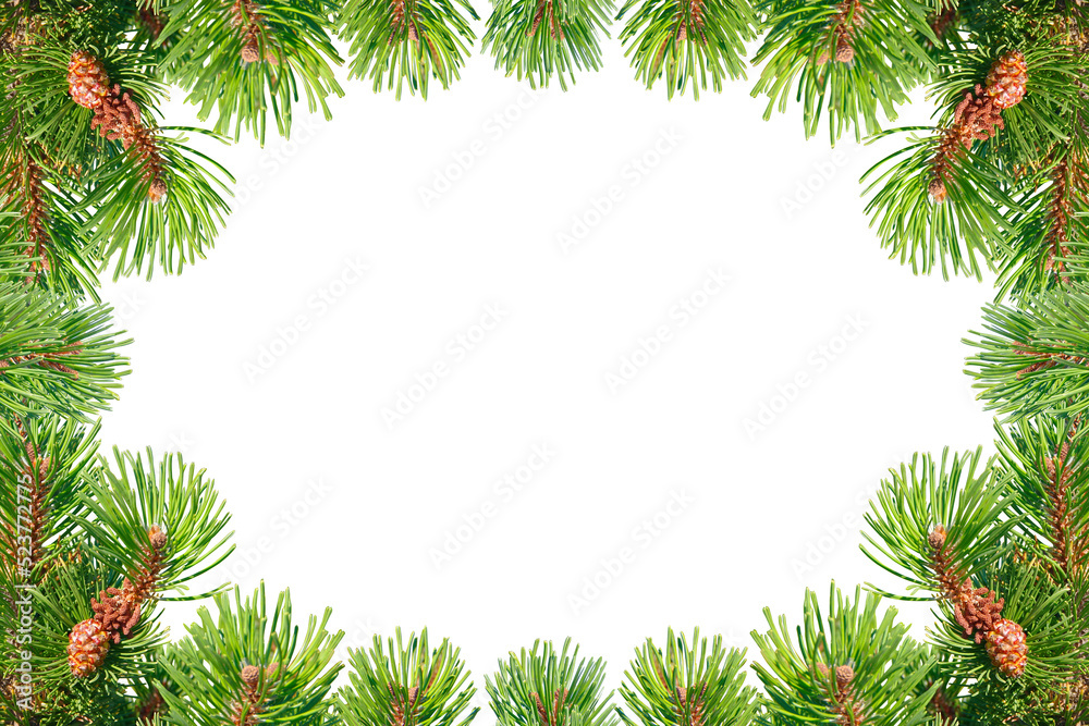 Frame of green Christmas tree branches isolated on white background. Frame of green Christmas tree branches isolated on white background.