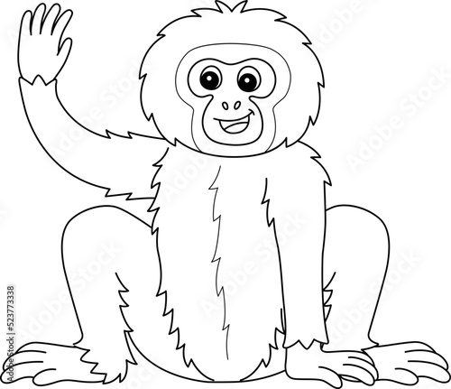 Gibbon Animal Isolated Coloring Page for Kids