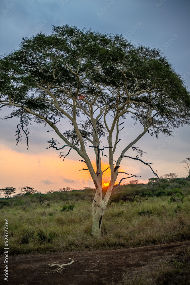 Fototapeta premium creative