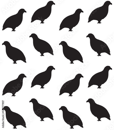 Obraz na plátně Vector seamless pattern of hand drawn doodle sketch partridge bird silhouette is