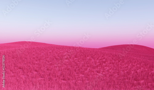 Minimalism Landscape of pink field of grass