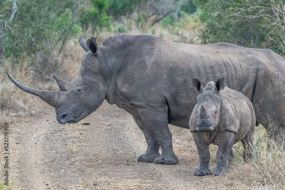 Obraz premium creative