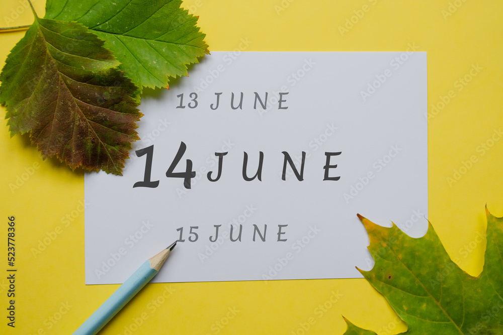 Naklejka premium 14 june day of month on a white sheet and the dates of the day earlier and later, written in simple pencil. Decoration with green leaves and yellow background.