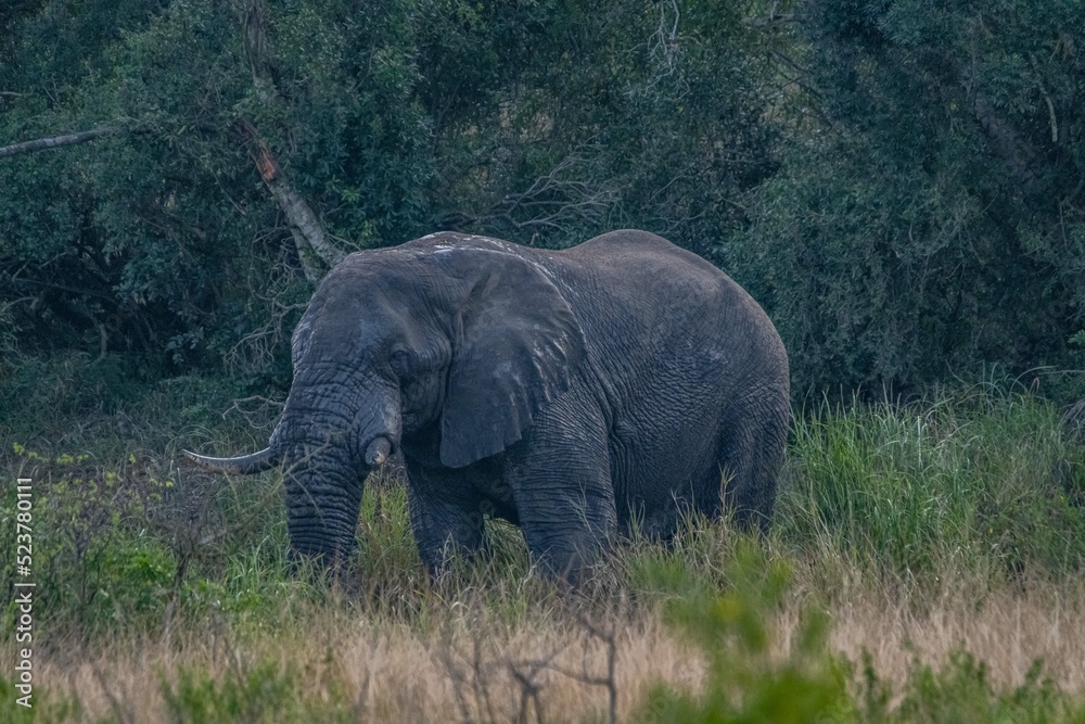 Obraz premium creative