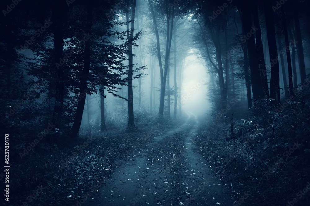 Obraz premium forest road in fog, dark fantasy landscape