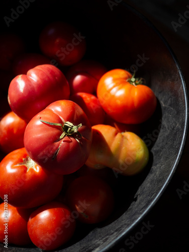 Detalle de tomates recién recolectados en un cubo