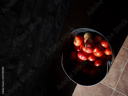Tomates rojos en un cubo con luz nostálgica