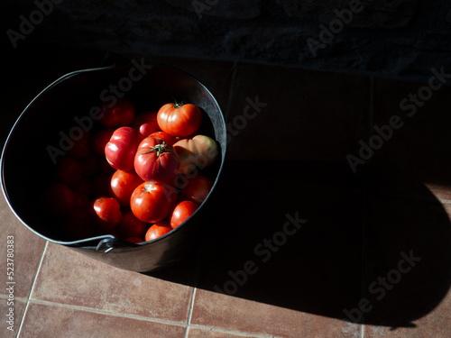 red tomatoes in a basket with nostalgic shadows
