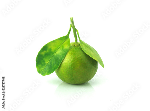 Fresh organic Calamansi lime on white background.