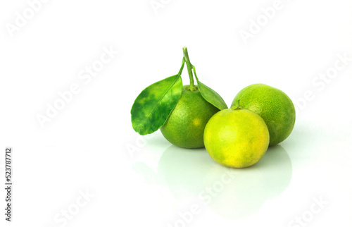 Fresh organic Calamansi lime on white background.