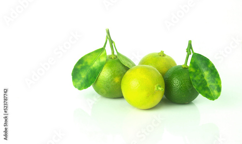Fresh organic Calamansi lime on white background.
