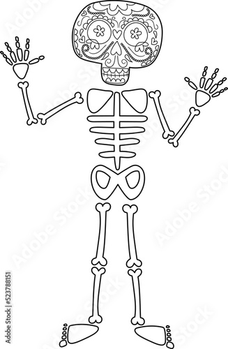 Catrina skeleton, día de los muertos