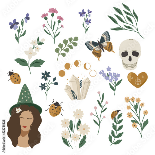 Set of wild grass decorative elements, mystical floral green witch clipart, magical forest clipart vector illustration isolated on white background