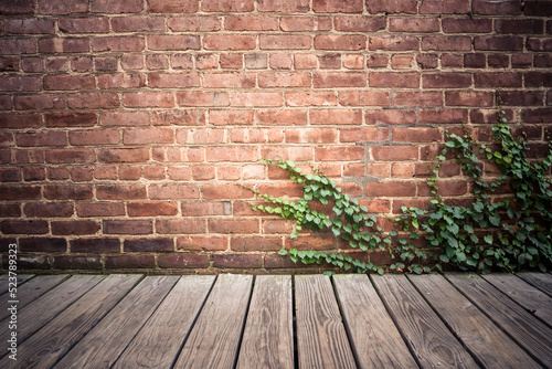 Brick exterior wall with wood floor and creepy green ivy vine. © littleny