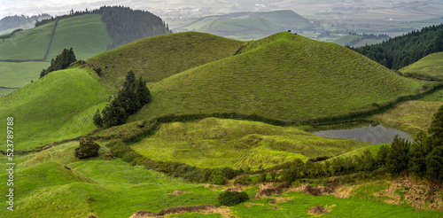 Sao Miguel Azoren Caldeira Kühe auf Hügel photo