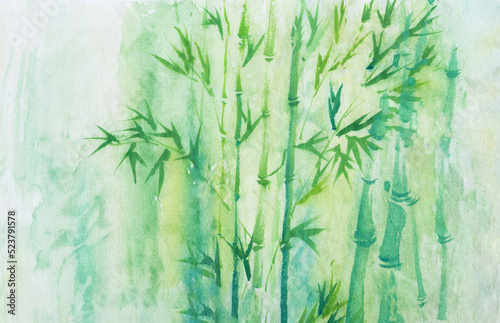 Fototapeta Naklejka Na Ścianę i Meble -  Bamboo Forest. Drawing by hand. 
