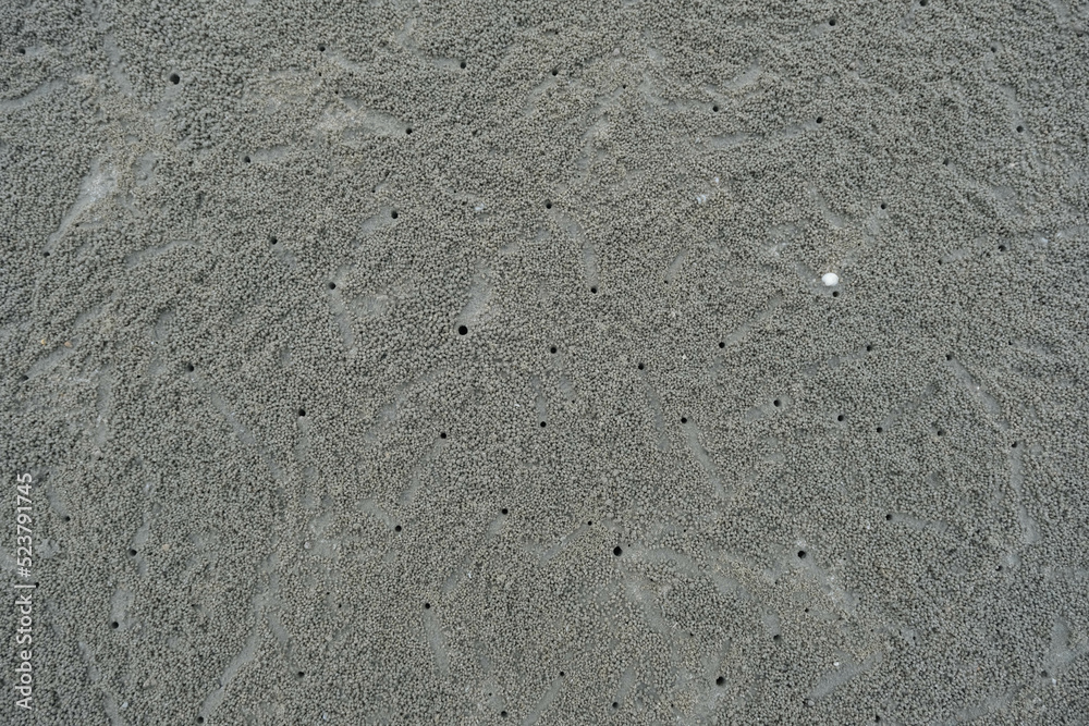 Crabs holes on beach sand, view from above. Ghost crab making sand balls on the beach. Home of a Ghost crab Crabs holes on beach sand, view from above. Ghost crab making sand balls on the beach. Home of a Ghost crab