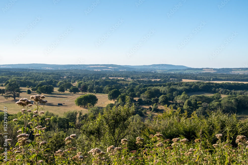 Looking over Duncton towards Petworth, West Sussex, UK