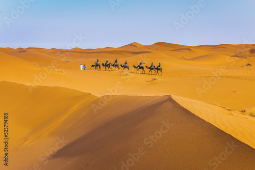 Camel caravan in Sahara desert Merzouga, Morocco