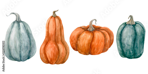 Set of pumpkins of different shapes and colors with stalks, isolated on white background. Hand-drawn watercolor illustration. Harvest.