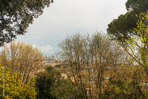 View of trees in the afternoon from a park at Rome City  Italy.