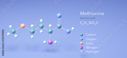 Fototapeta Naklejka Na Ścianę i Meble -  Methionine, Amino acid, molecular structures, 3d rendering, Structural Chemical Formula and Atoms with Color Coding