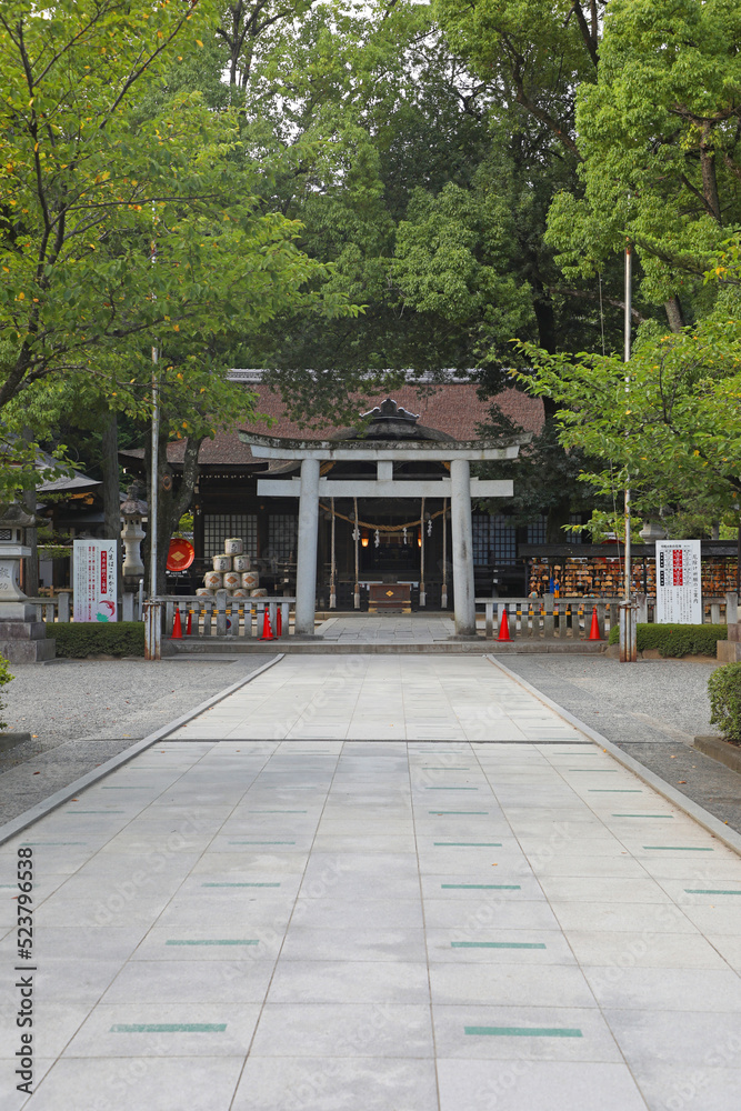 武田神社　鳥居と拝殿
