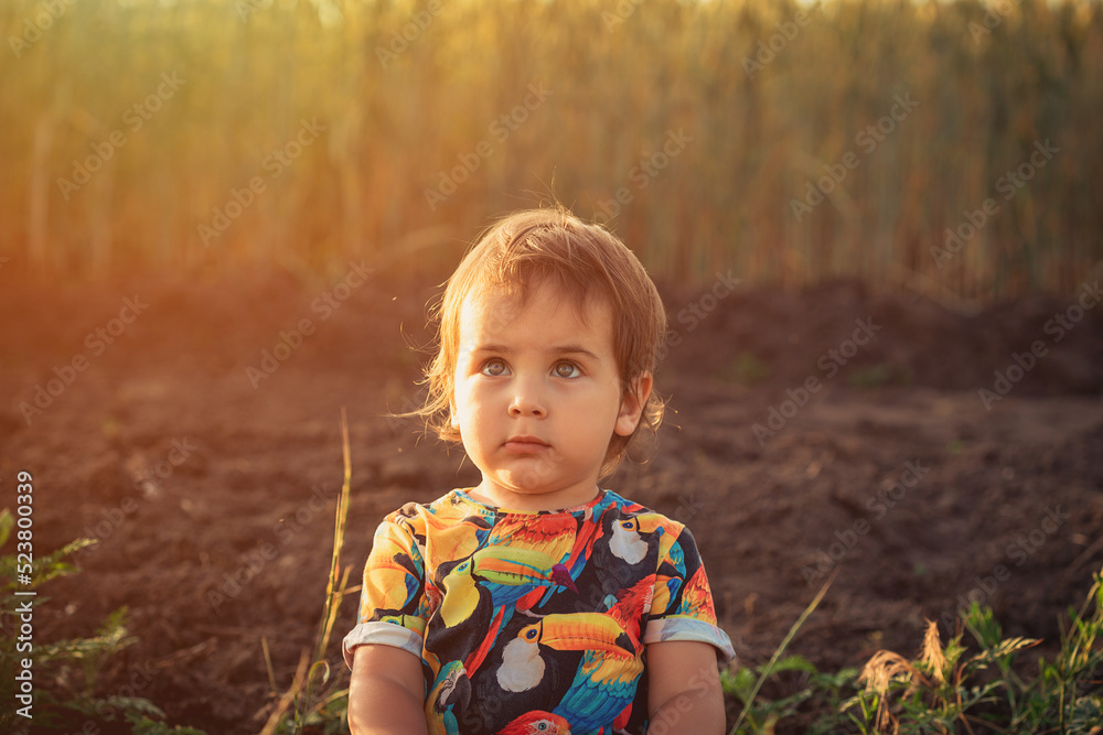 Happy child in nature. Happy childhood in the village. A child in the village, walking in a wheat field. Ukrainian Happy child in nature. Happy childhood in the village. A child in the village, walking in a wheat field. Ukrainian