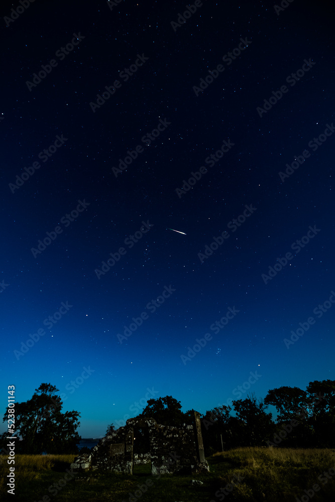 Naklejka premium Perseid Meteaor Shower