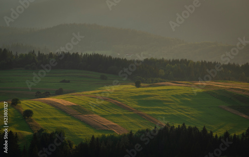 Summer sunny beautiful evening near Oravska Polhora village in Slovakia