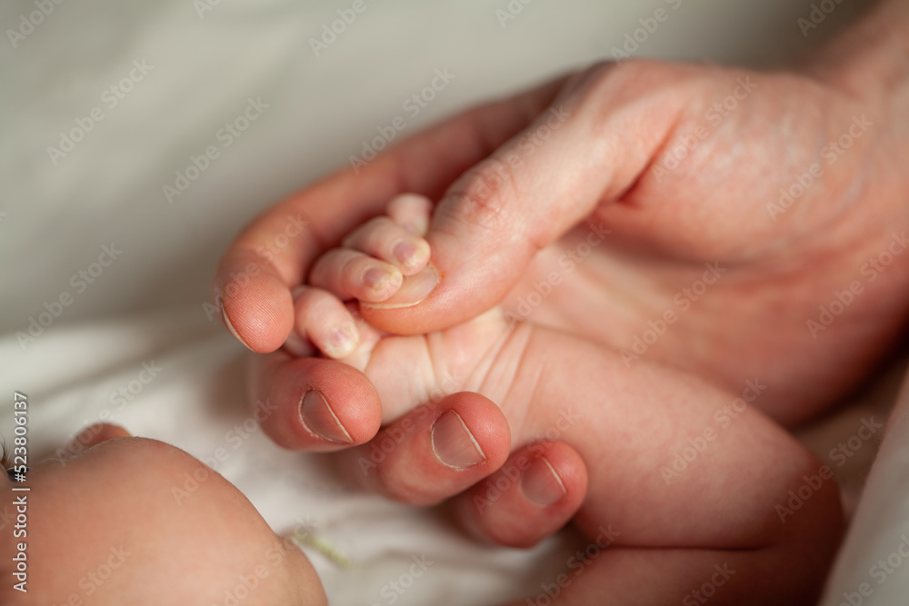 Closeup photo of parent hand with little newborn baby hand Closeup photo of parent hand with little newborn baby hand