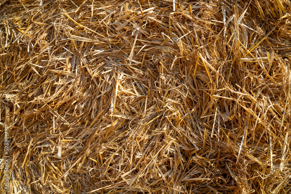 Haystacks background, texture. Wheat gold hay in field. Haystacks background, texture. Wheat gold hay in field.