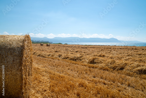Haystack harvest. Agriculture field haystacks © TetiSof