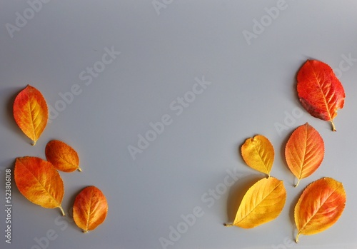 Yellow-red leaves of trees on a gray background are located at the edges. Place for text