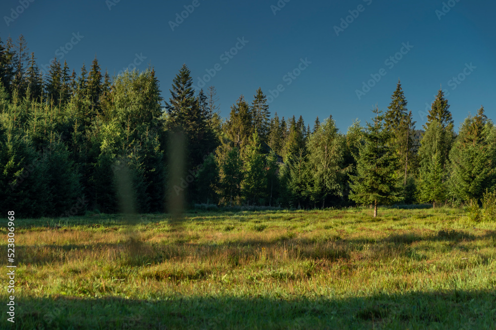 Fototapeta premium Summer Slovakia morning with blue sky and green forest