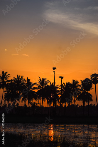 Silhouette of palm trees and sunset background. Beautiful golden sunset and nature.