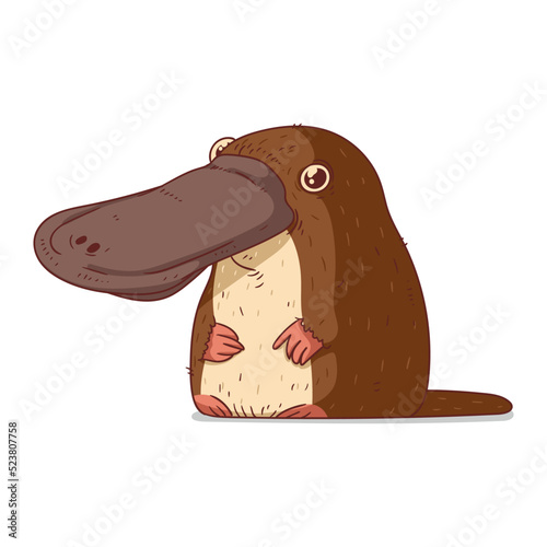 A Platypus, isolated vector illustration. Funny cartoon picture of a curious duckbill sitting. A humorous platypus sticker. Simple drawing of duckbill on white background. An animal of Australia.