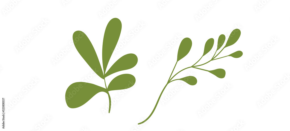 Floral set hand drawn green color leaves. Cute isolated elements. Clip art for stationery, web design. Modern floral compositions. Vector illustration