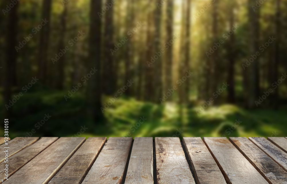 Wooden table top on blur green forest or gardent.Fresh and Relax concept.For montage product display or design key visual layout.View of copy space. Wooden table top on blur green forest or gardent.Fresh and Relax concept.For montage product display or design key visual layout.View of copy space.