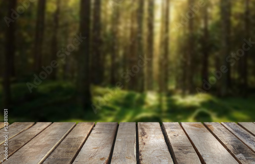 Wooden table top on blur green forest or gardent.Fresh and Relax concept.For montage product display or design key visual layout.View of copy space.