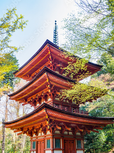 Three-storied pagoda at the Joruri-ji Tempke in Kizugawa City, Kyoto, National Treasure of Japan