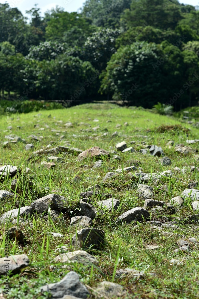 rough terrain trail for walking and trekking. rocky path on grass rough terrain trail for walking and trekking. rocky path on grass