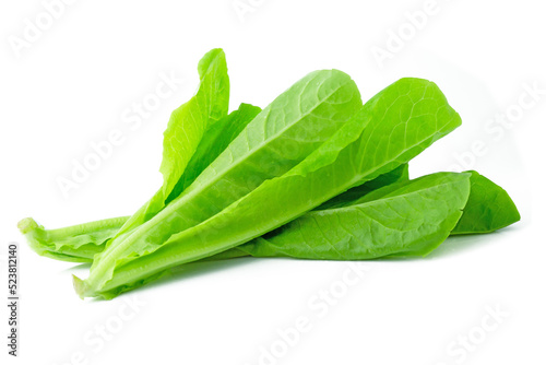 Lettuce vegetable isolated on white background