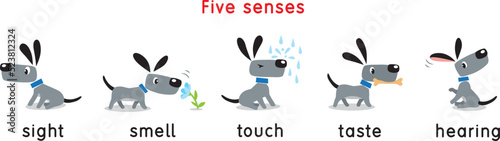 Five senses icon. Touch, taste hearing sight smell