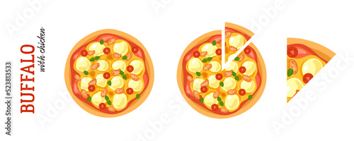 A set of illustrations of buffalo with chicken pizza. Whole, cut and a slice of pizza.