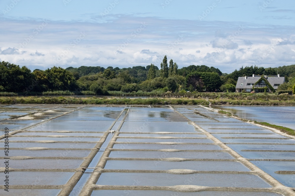 salt marsh in Brittany in summer