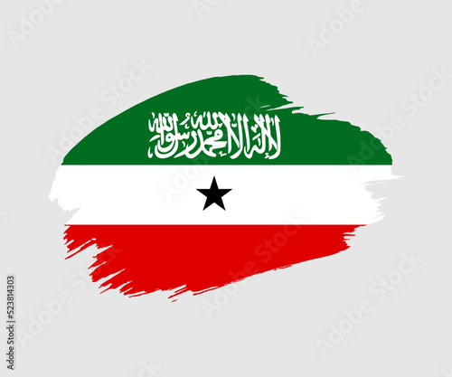 Obraz na plátně Abstract creative painted grunge brush flag of Somaliland country with backgroun