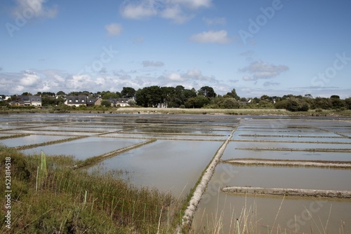 salt marsh in Brittany in summer