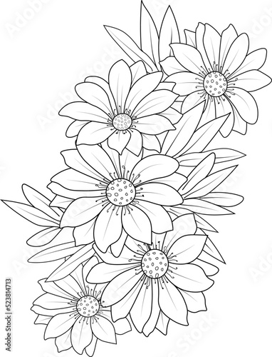 sketch of daisy flower vector clip art