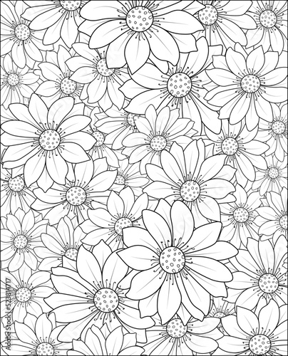 seamless floral pattern